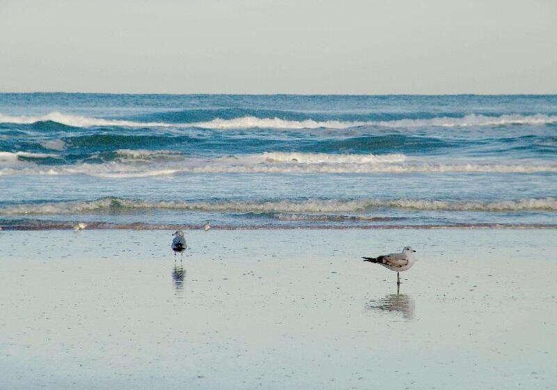 בית מלון כפרי Hampton Inn Daytona Shoresoceanfront