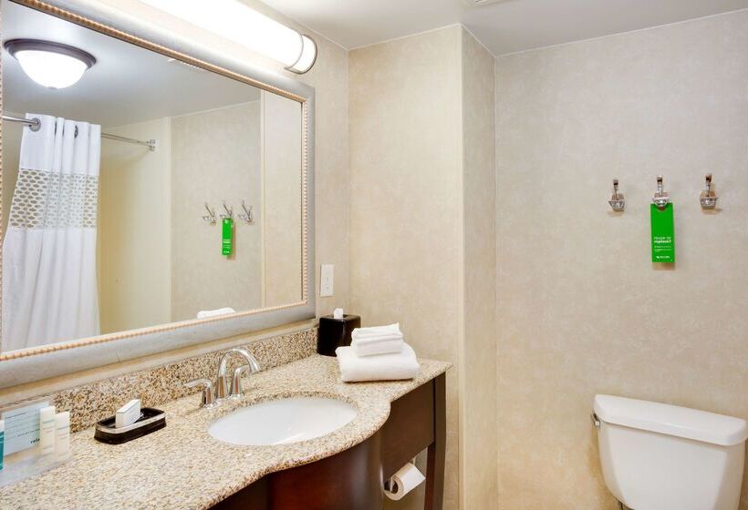 בית מלון כפרי Hampton Inn Harrisonburg South