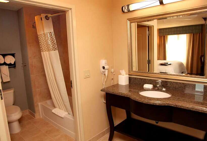 هتل Hampton Inn & Suites Carlsbad