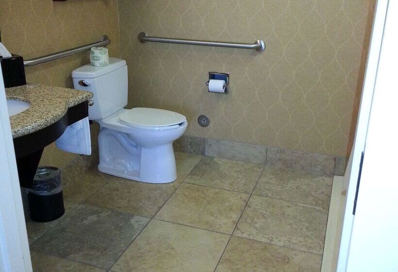ホテル Hampton Inn & Suites Sevierville @ Stadium Drive