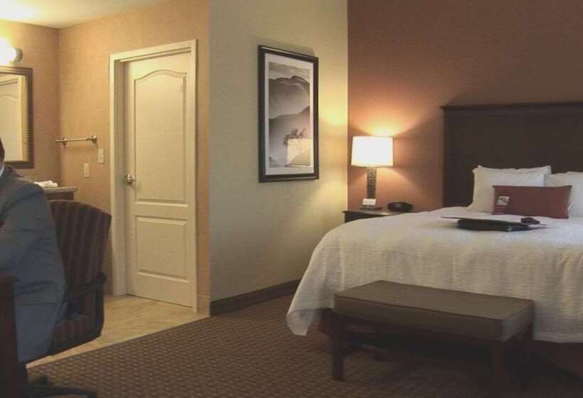 ホテル Hampton Inn & Suites Sevierville @ Stadium Drive