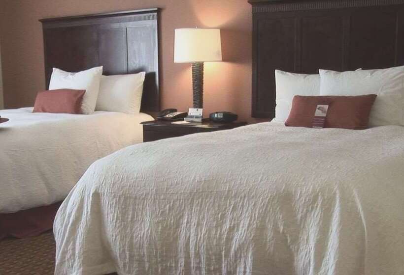 ホテル Hampton Inn & Suites Sevierville @ Stadium Drive