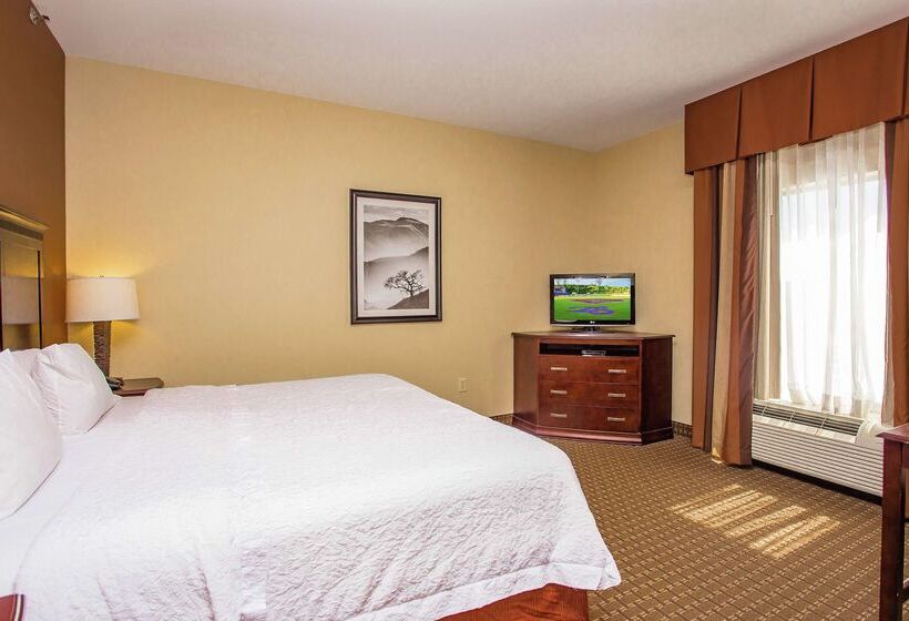 ホテル Hampton Inn & Suites Sevierville @ Stadium Drive