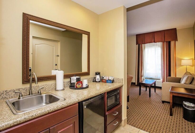 ホテル Hampton Inn & Suites Sevierville @ Stadium Drive