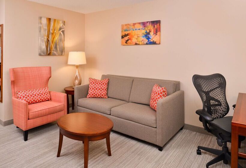 هتل Hilton Garden Inn Dover