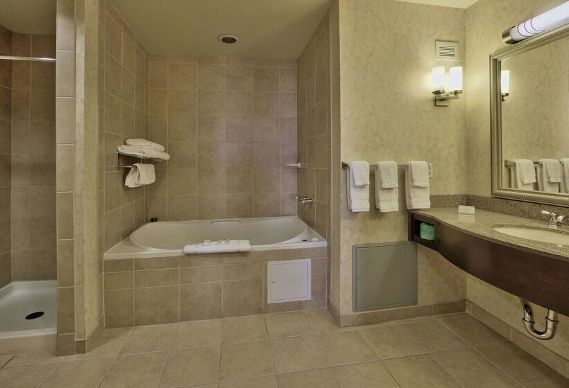 هتل Hilton Garden Inn Las Cruces