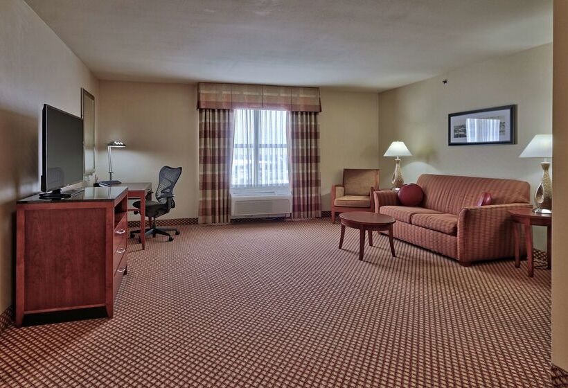 هتل Hilton Garden Inn Las Cruces