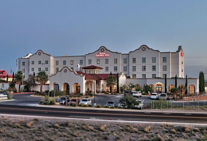 هتل Hilton Garden Inn Las Cruces