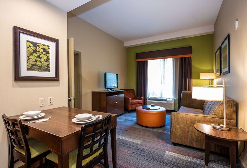 בית מלון כפרי Homewood Suites By Hilton Birmingham Sw Riverchase Galleria