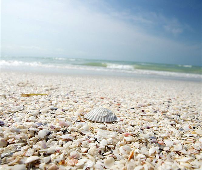 فندق Pelicans Roost