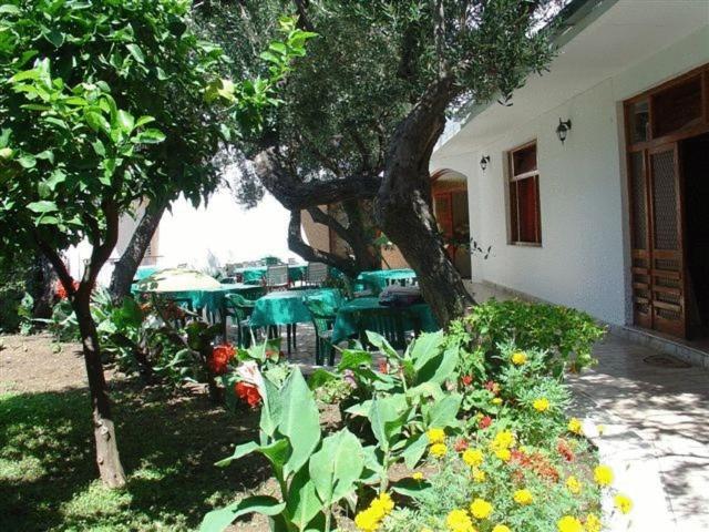 בית מלון כפרי Pension Vice