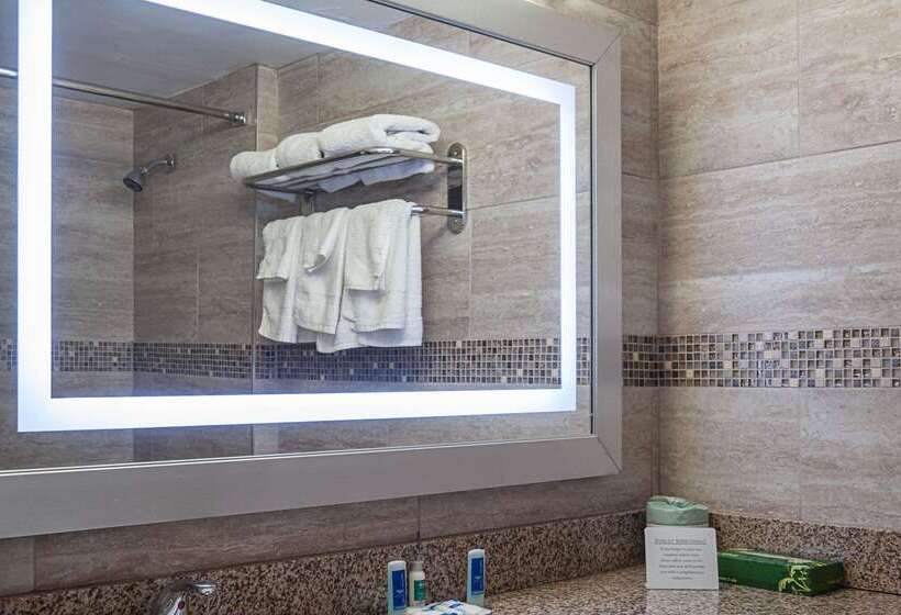 هتل Rodeway Inn Meadowlands