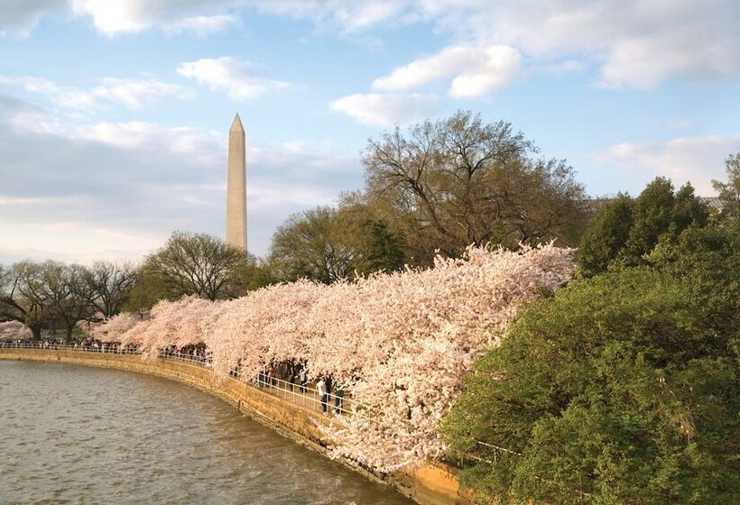 استراحتگاه Club Wyndham National Harbor