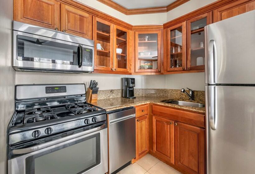 渡假胜地  Mountain Lodge Breckenridge