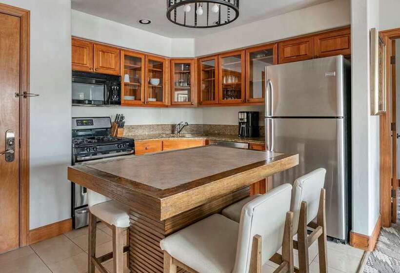 渡假胜地  Mountain Lodge Breckenridge