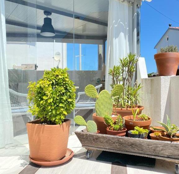 پانسیون O Tourinho