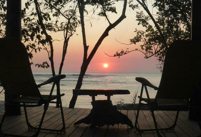 فندق صغير Castaway Surf Retreat 1