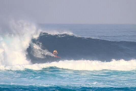 فندق صغير Castaway Surf Retreat 1