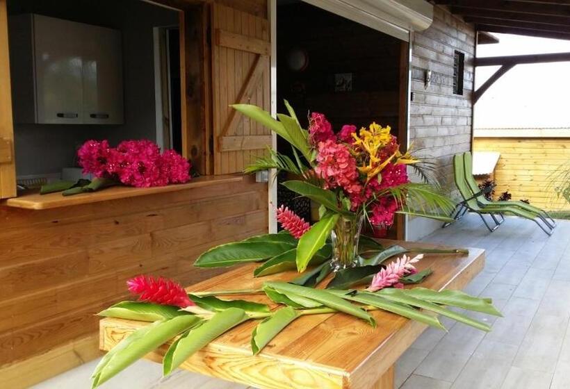 بنسيون Amour Deshaies