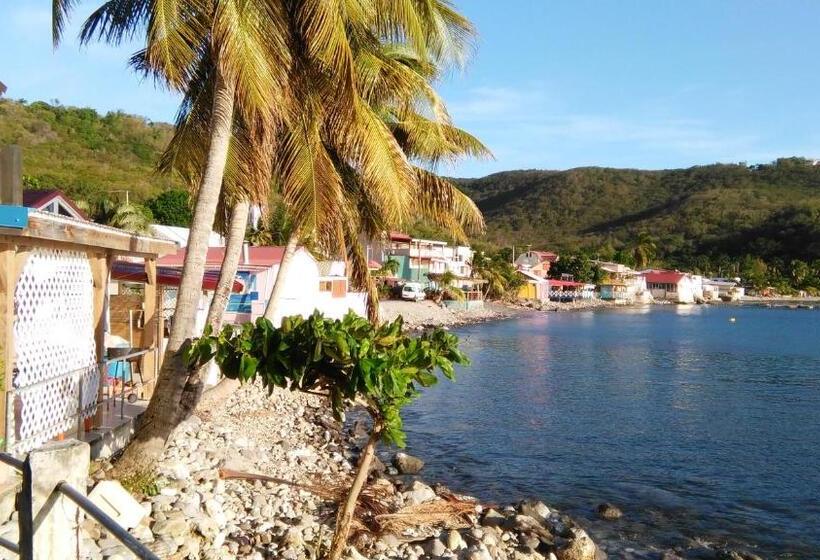 بنسيون Amour Deshaies