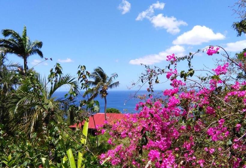 بنسيون Amour Deshaies