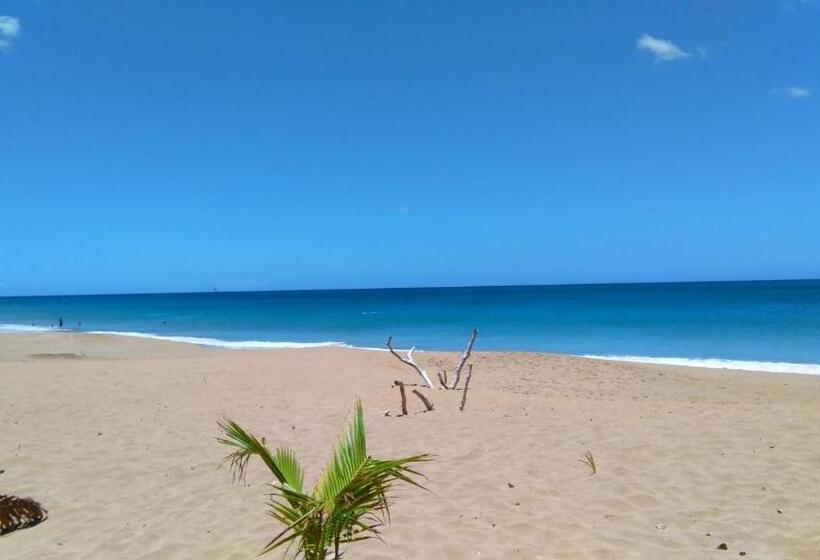 بنسيون Amour Deshaies