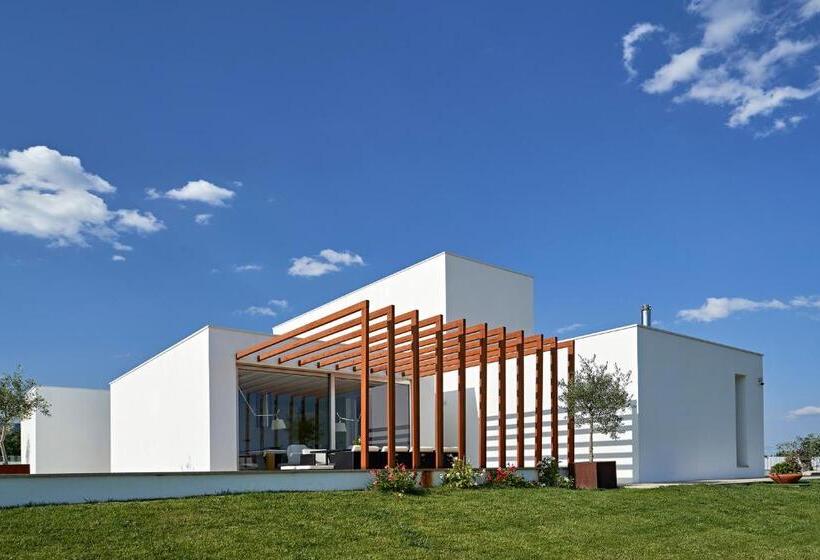 بنسيون Oliveira House