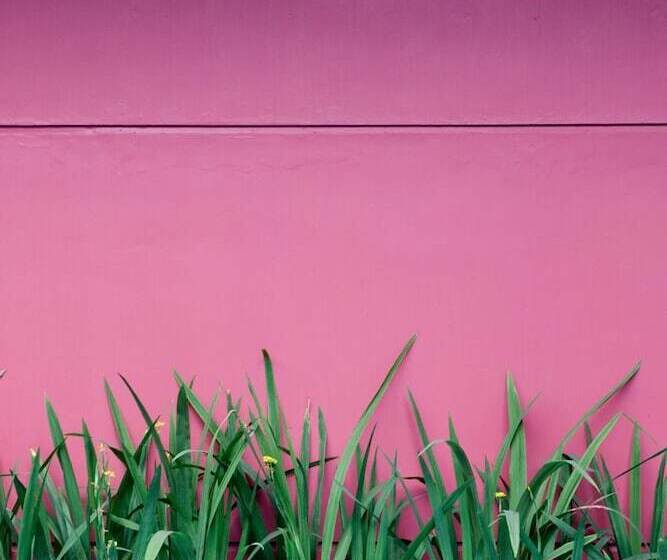 Amaris Hotel Cimanuk Bandung