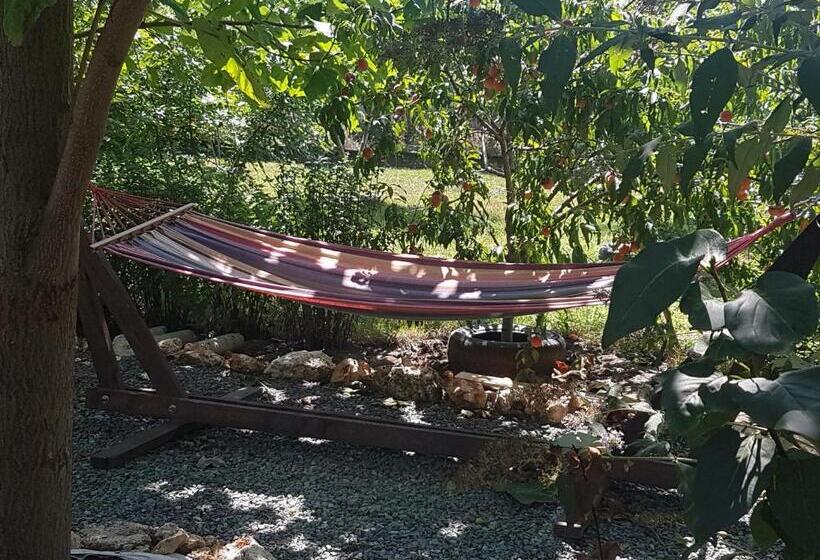 פנסיון Casa Magnolia