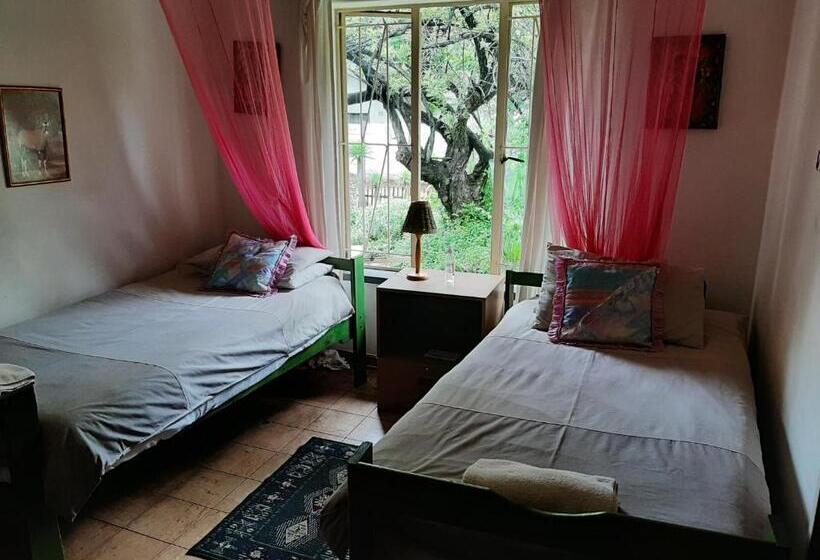 פנסיון Elephant Walk Guesthouse And Back Packers