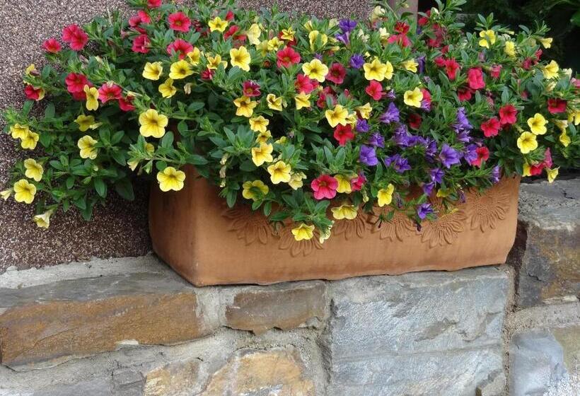 بنسيون Haus Weingarten Appartements Zimmer