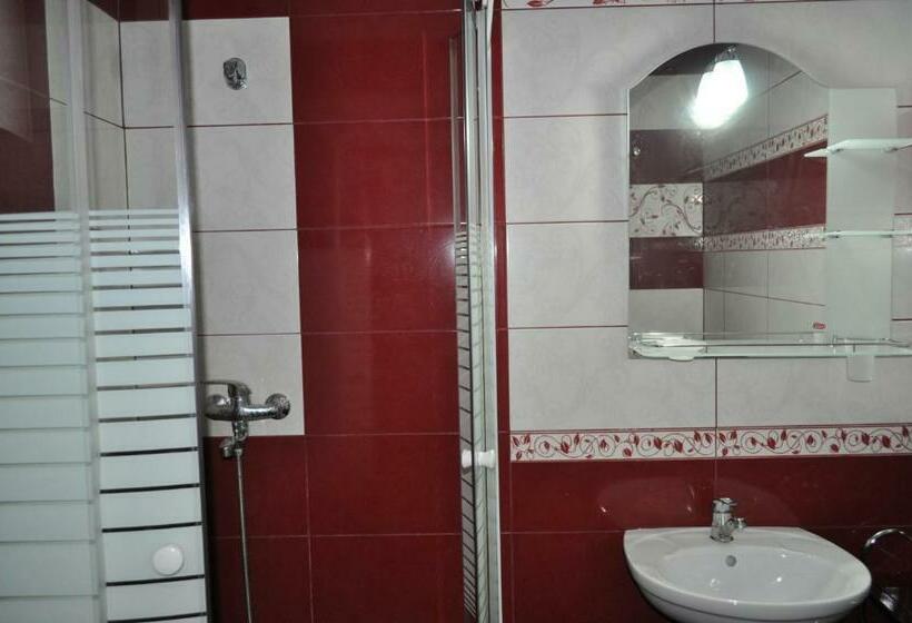 بنسيون Vila Teoharie