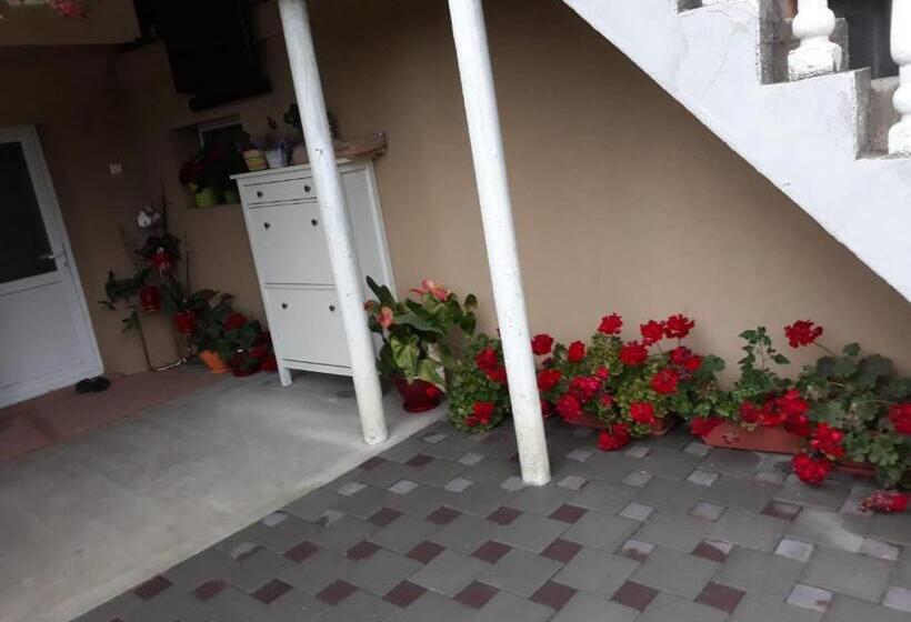 تختخواب و صبحانه Casa Sannicolau