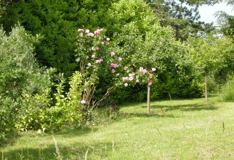 צימר Château De Cartou