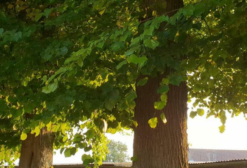 住宿加早餐  La Tilia
