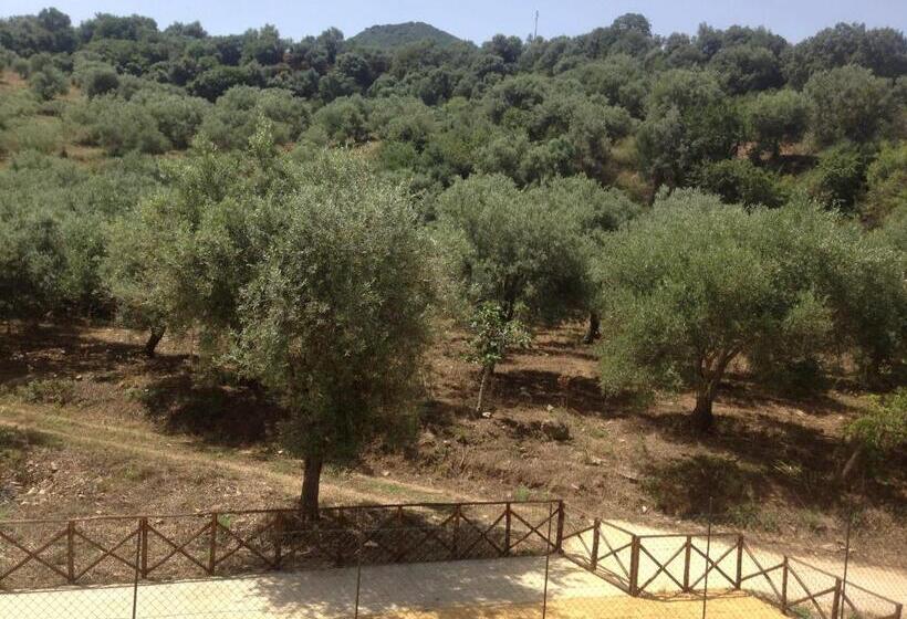 فندق Villa Tiberio