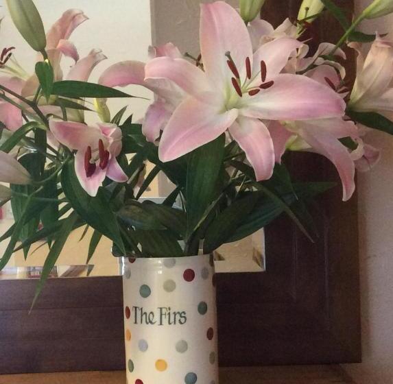 بنسيون The Firs At Hay On Wye B&b