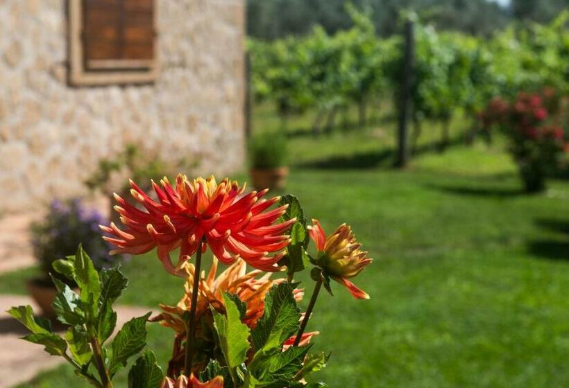 B&b Vallecupa