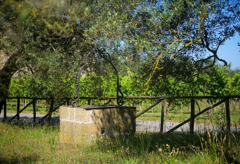 B&b Vallecupa