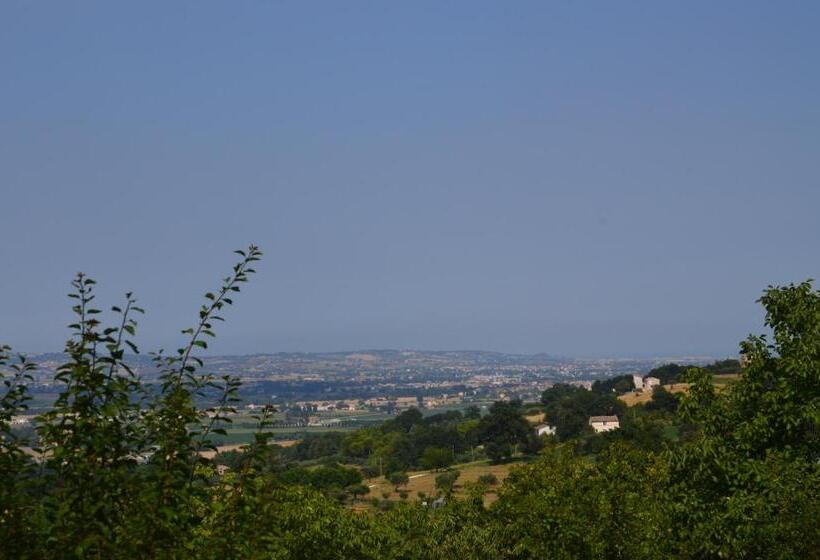 B&b Villa Lupidi