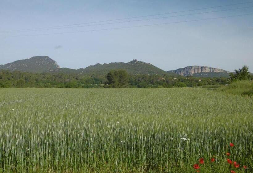 ベッドアンドブレックファースト Le Castellas Du Pic St Loup