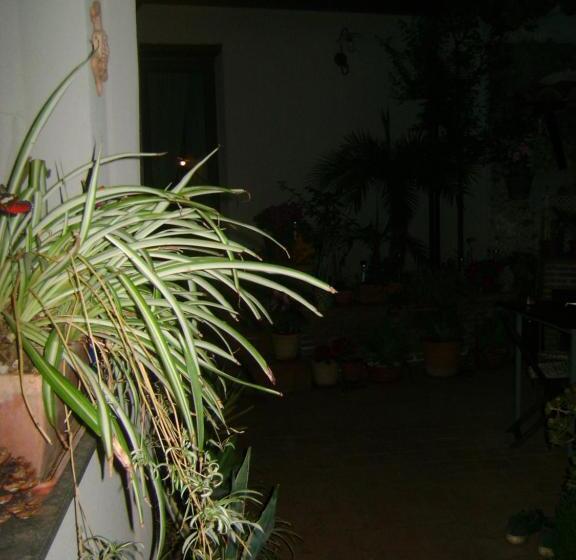 مبيت وإفطار Mauripe