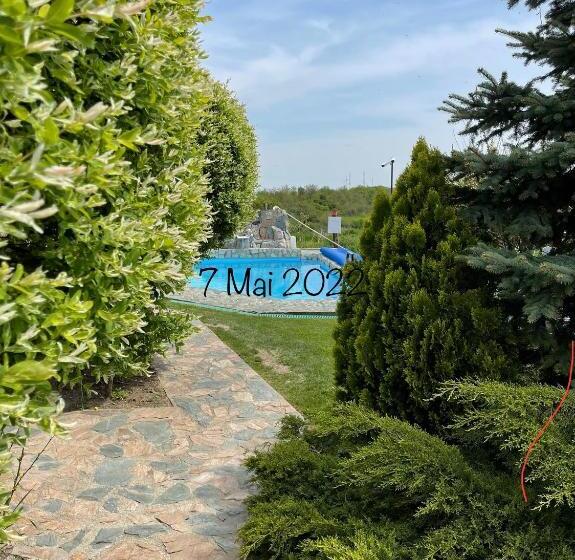 تختخواب و صبحانه Wineyards Salin