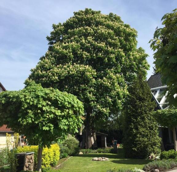 Пансион Villa Auszeit