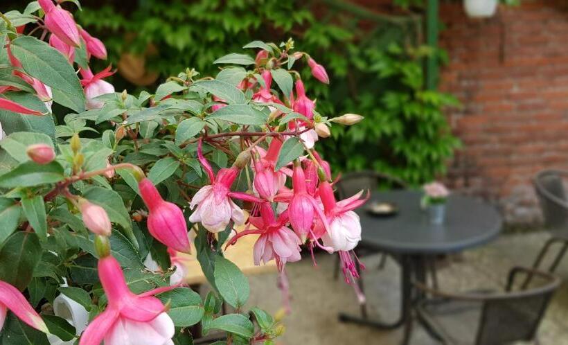 Pension Bartoschewitz