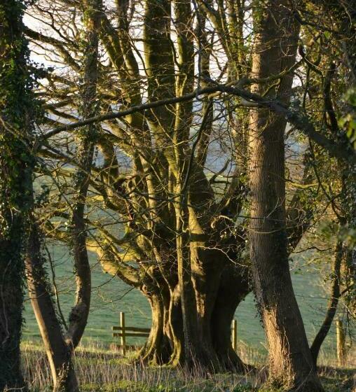 Top Parts Bed & Breakfast