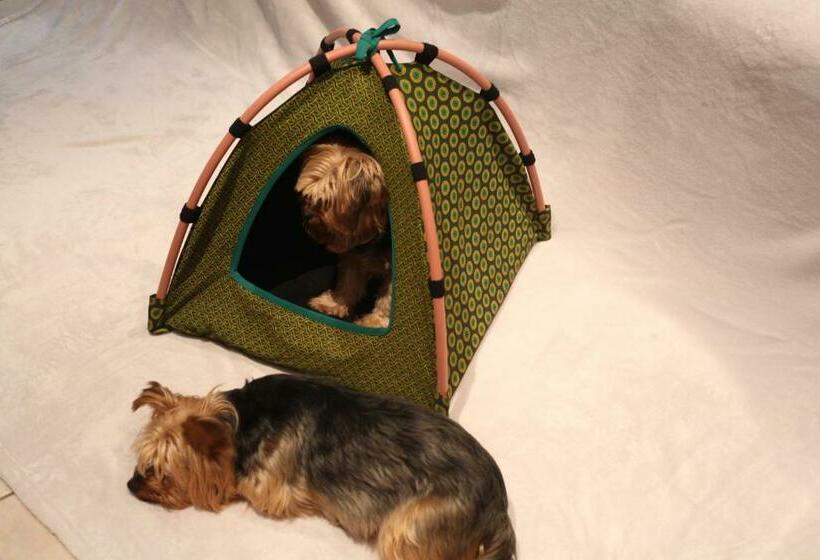 تختخواب و صبحانه Seven Gables