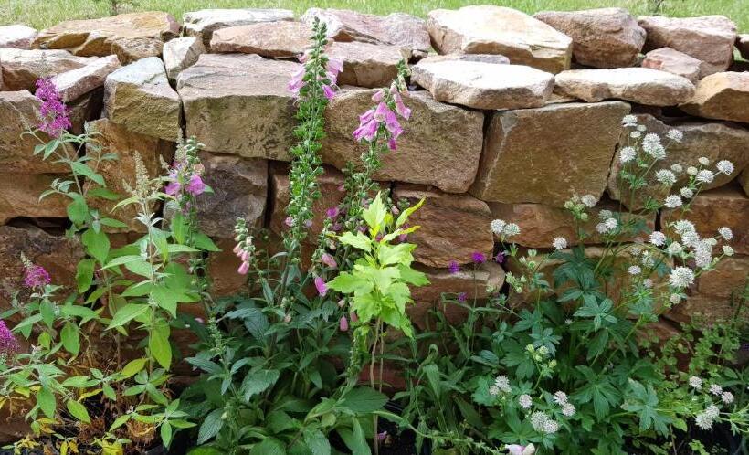 ペンション Ferienwohnung Unterhubers