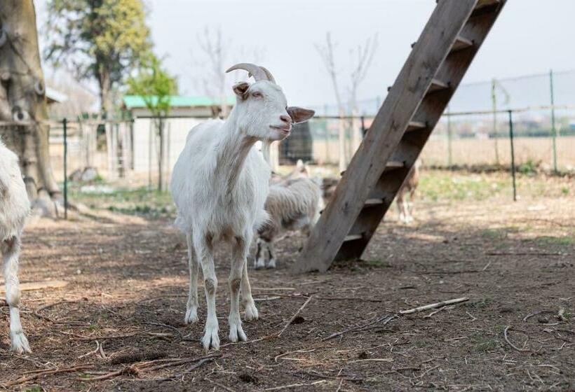 민박 Cascina Cattabreghetta