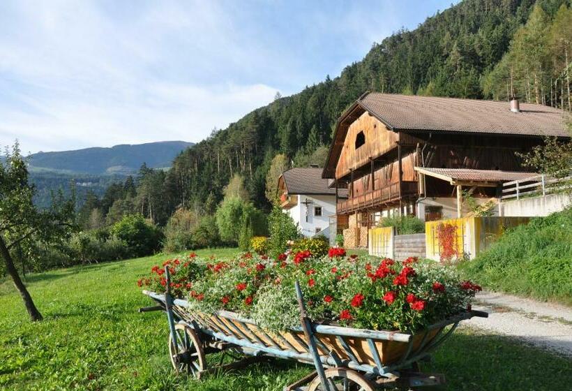 Bed and Breakfast Falkenau